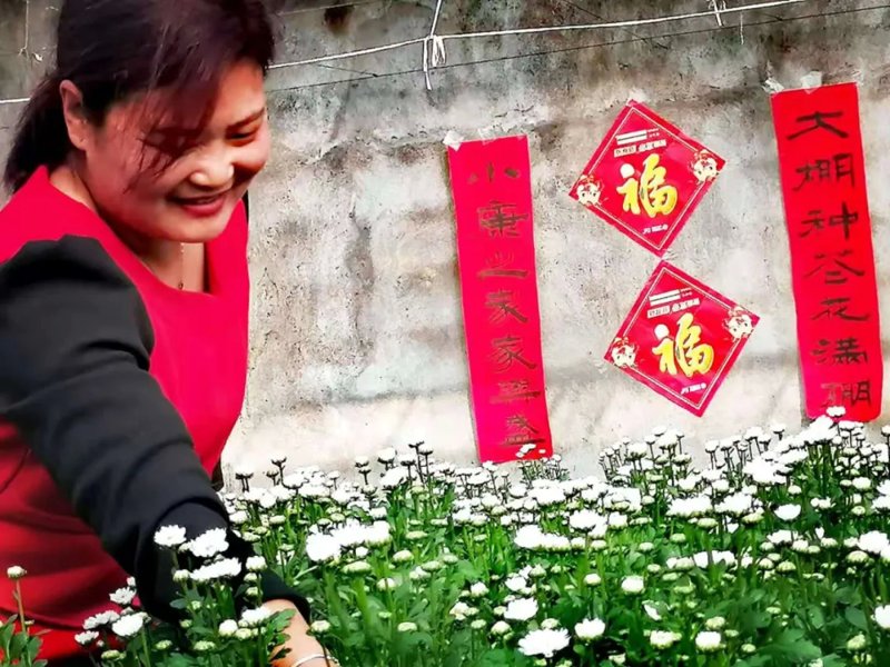 连云港鲜花店在互联网时代的转型与突破
