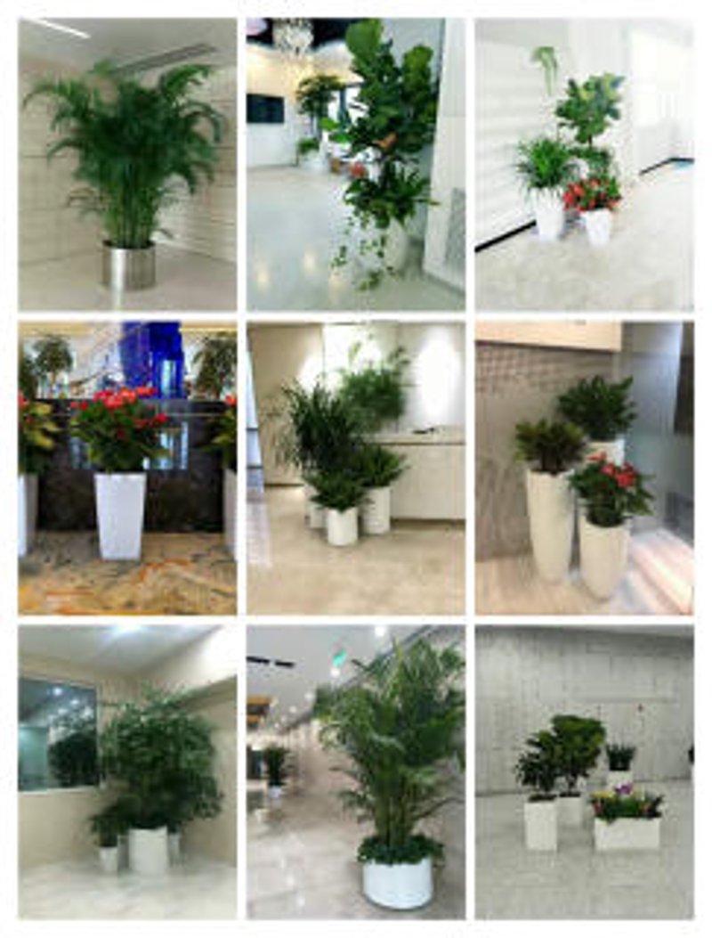 开业花篮:为新店起航添彩